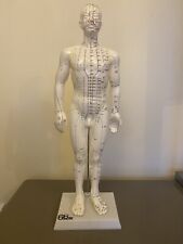 A Standard Acupuncture Model With Stand,Instruction Book,Male, 50cm Tall