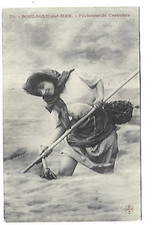 62 Boulogne Sur Mer Shrimp