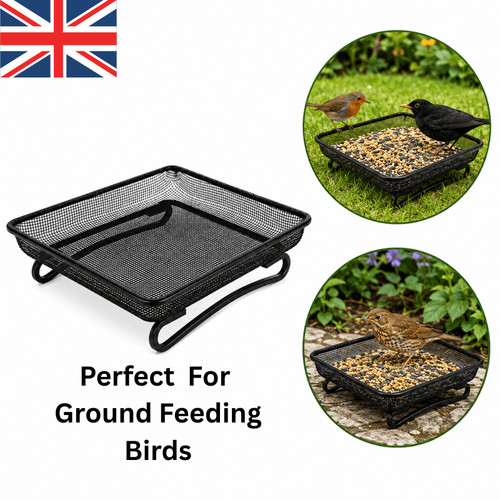 Metal bird mesh ground - bird,