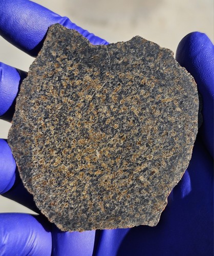 Ouargla 010 meteorite - ouargla, from