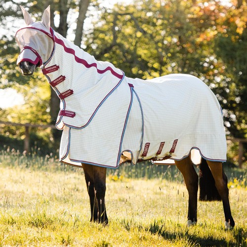 Rambo horse optimo - optimo, supreme