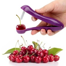 Portable Cherry Olive Pitter