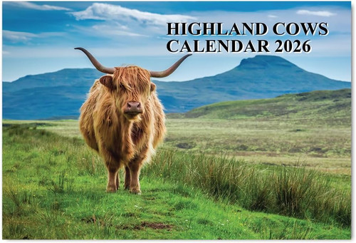 Highland cow calendar 2026 - 2026, uk