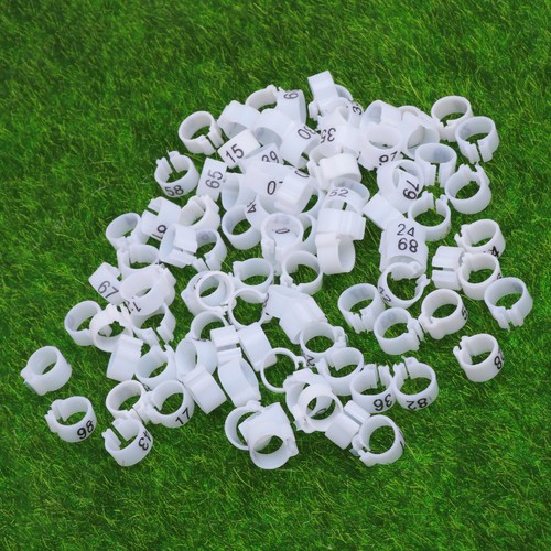 100 pcs pigeon accessories - pcs,