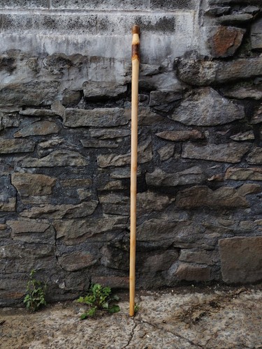 Welsh rowan pommel hiking pole - pommel,