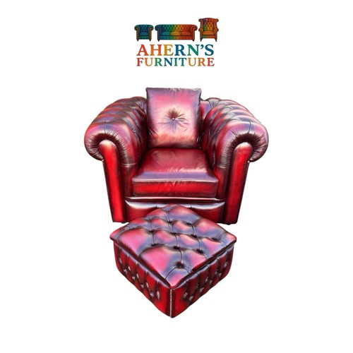 Sofas saxon winchester - sofas,