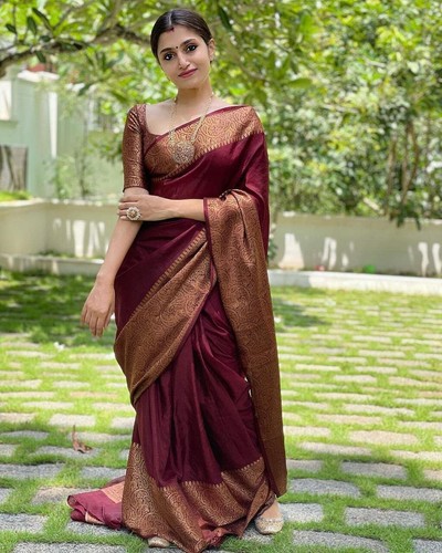 Traditional party wear soft - traditional,