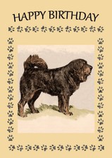 TIBETAN MASTIFF DOG GREAT DOG