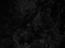 100% Raw Alpaca Fleece From