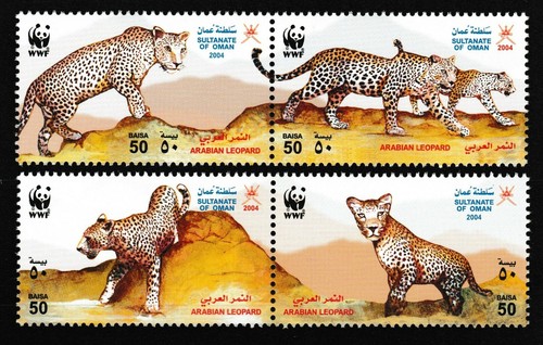Wwf oman arabian leopard - -, "arabian