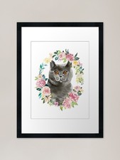 Grey British Shorthair Cat in