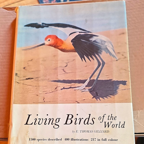 Living birds the world - world, e