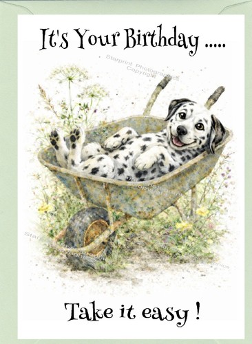 Dalmatian dog - dog, 6")