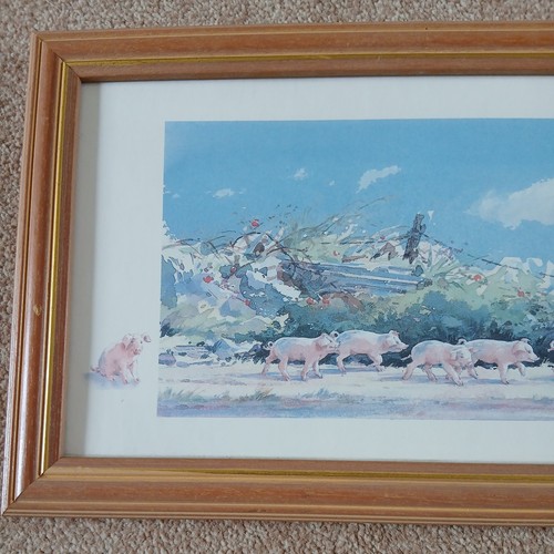 Framed retro down and snout - framed, snout'