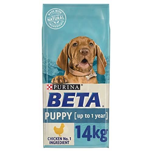 Beta puppy dry dog - puppy,
