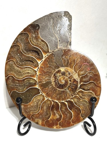 5cm 133g large madagascan - 10.5cm,,