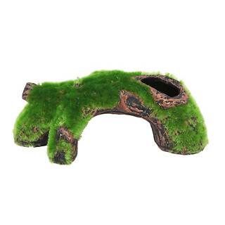 Betta choice ceramic - betta, fallen