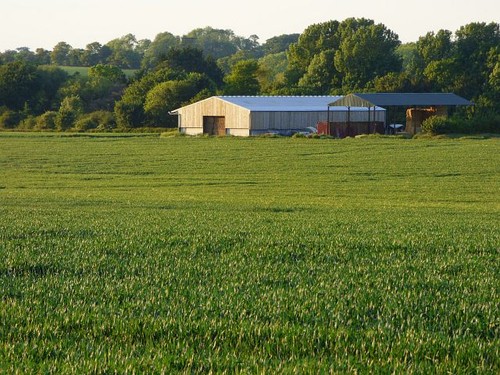 Photo 6x4 farmland and barns - photo,