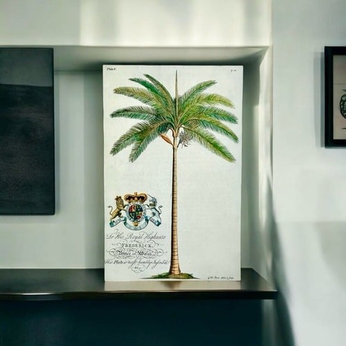 King palm tree - palm,