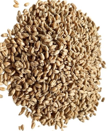 5kg bag wheat filler for - bag,