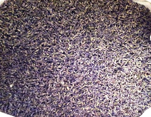 50g loose dried - , lavender