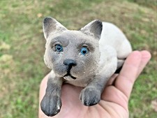 RARE Gorgeous BLUE EYED