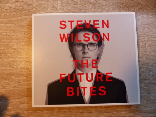 Steven wilson the future - wilson:,