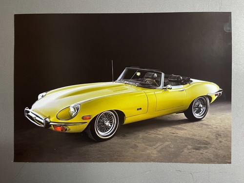 Jaguar xke roadster picture - jaguar,