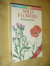 Wild Flowers: A Color Guide to Familiar Wild Flowers: Ferns and Grasses-Bohumil