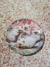 Amy Brackenburys Cat Tales Collectable Plate 1988 Wrapped Up Himalayans