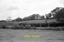 Photo 6x4 1450 shunts milk