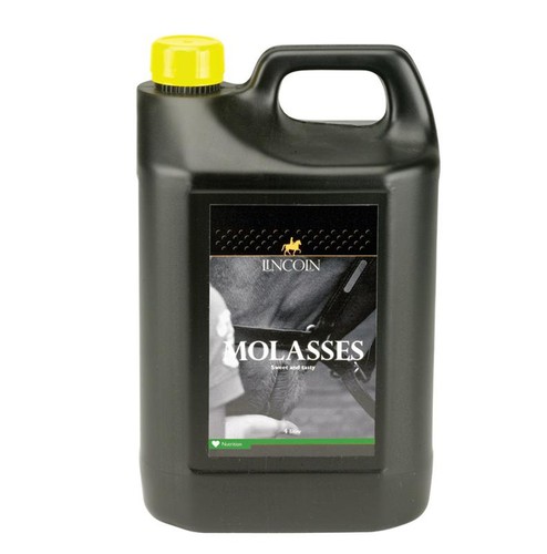 Lincoln molasses horses - molasses, &