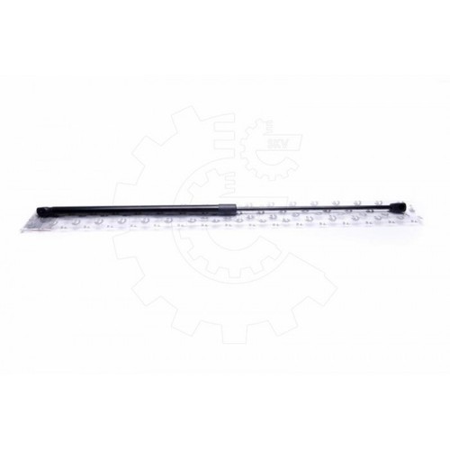 Hood lift for jaguar - hood,