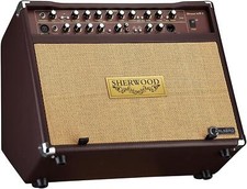 Carlsbro Sherwood 60 Guitar