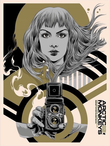 Arctic monkeys concert - arctic,