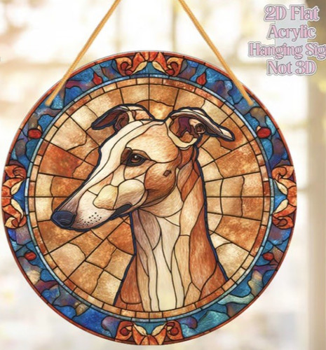 Greyhound whippet dog - whippet,