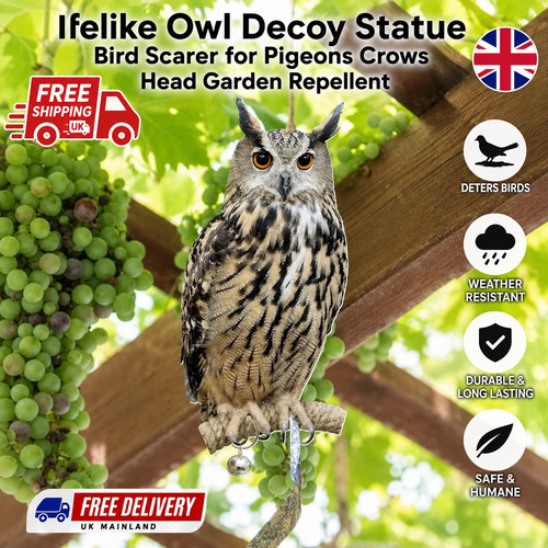Lifelike owl decoy - owl,