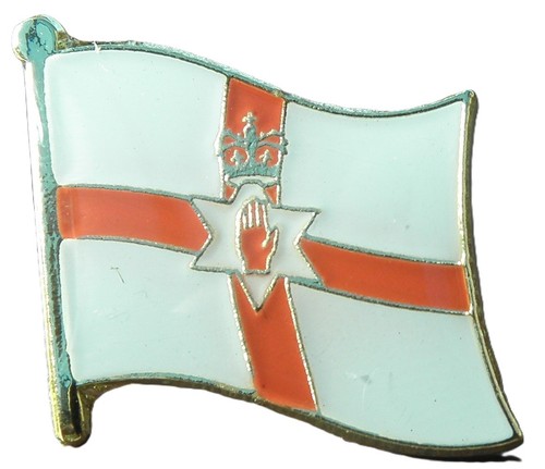 Northern ireland flag pin - flag,
