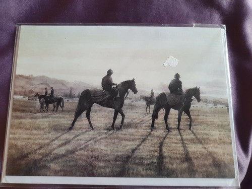 Racehorses greetings card