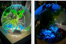 Self Sustaining Ecosystem mini aquarium. Live plants, LED, gemstones Easy care!