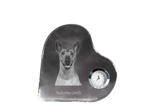 Mexican hairless dog - mexican,
