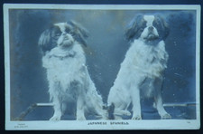 Great Britain RP Postcard