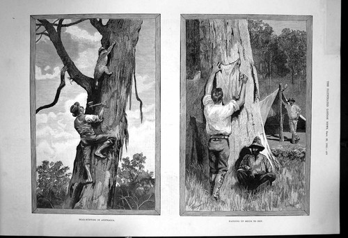 Original old antique print - original,