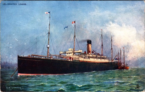 Cymric white star line - cymric,