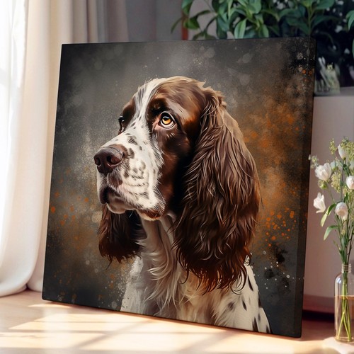 English springer spaniel - english,