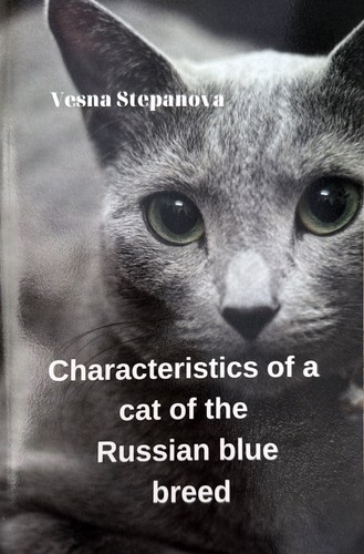 Russian blue cat - blue, facts