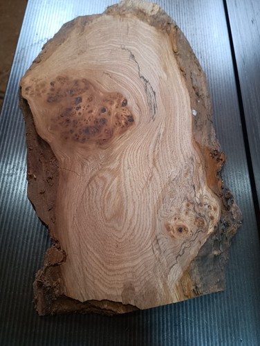 400 240 21mm natural - 400*240*21mm, natural/waney