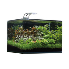 Dennerle nano scapers aquarium - dennerle,