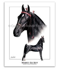 TENNESSEE WALKER walking HORSE