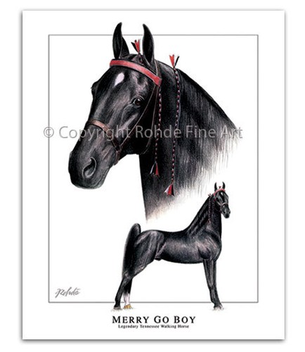 Tennessee walker walking horse - tennessee,
